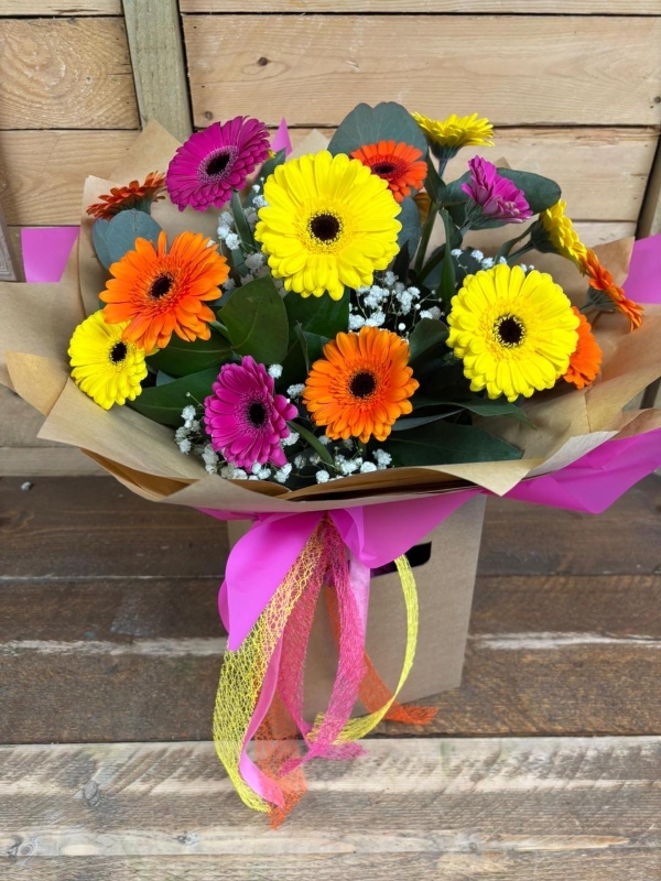 Bright Gerbera