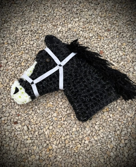 Horse Head